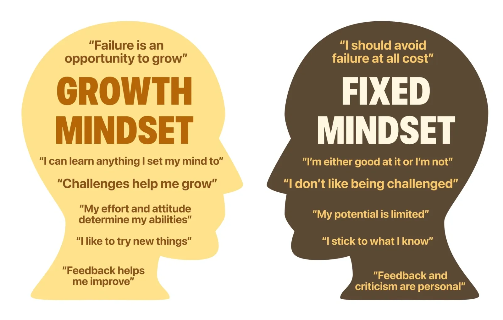 Growth vs. fixed mindset for HSC students