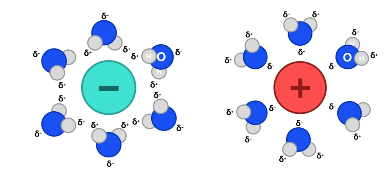 HSC Chemistry Module 5 Equilibrium ion solubility