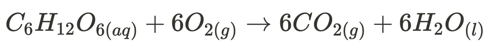 Combustion equation, non-equilibrium reaction, HSC Chemistry